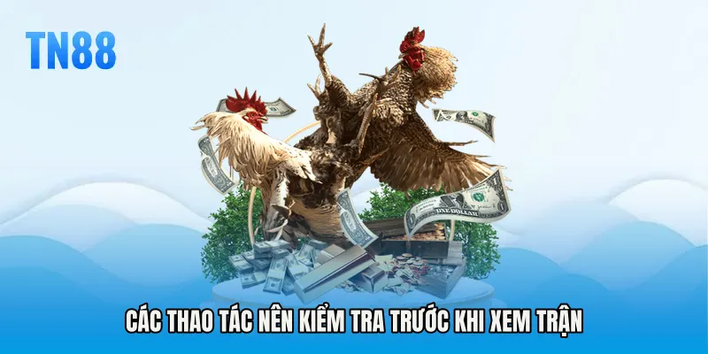 Các thao tác nên kiểm tra trước khi xem trận